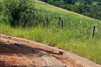 Foto - Pedido de Providência nº 05/2026 - Autoria: Peterson Greatti