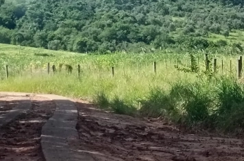 Foto - Pedido de Providência nº 05/2026 - Autoria: Peterson Greatti